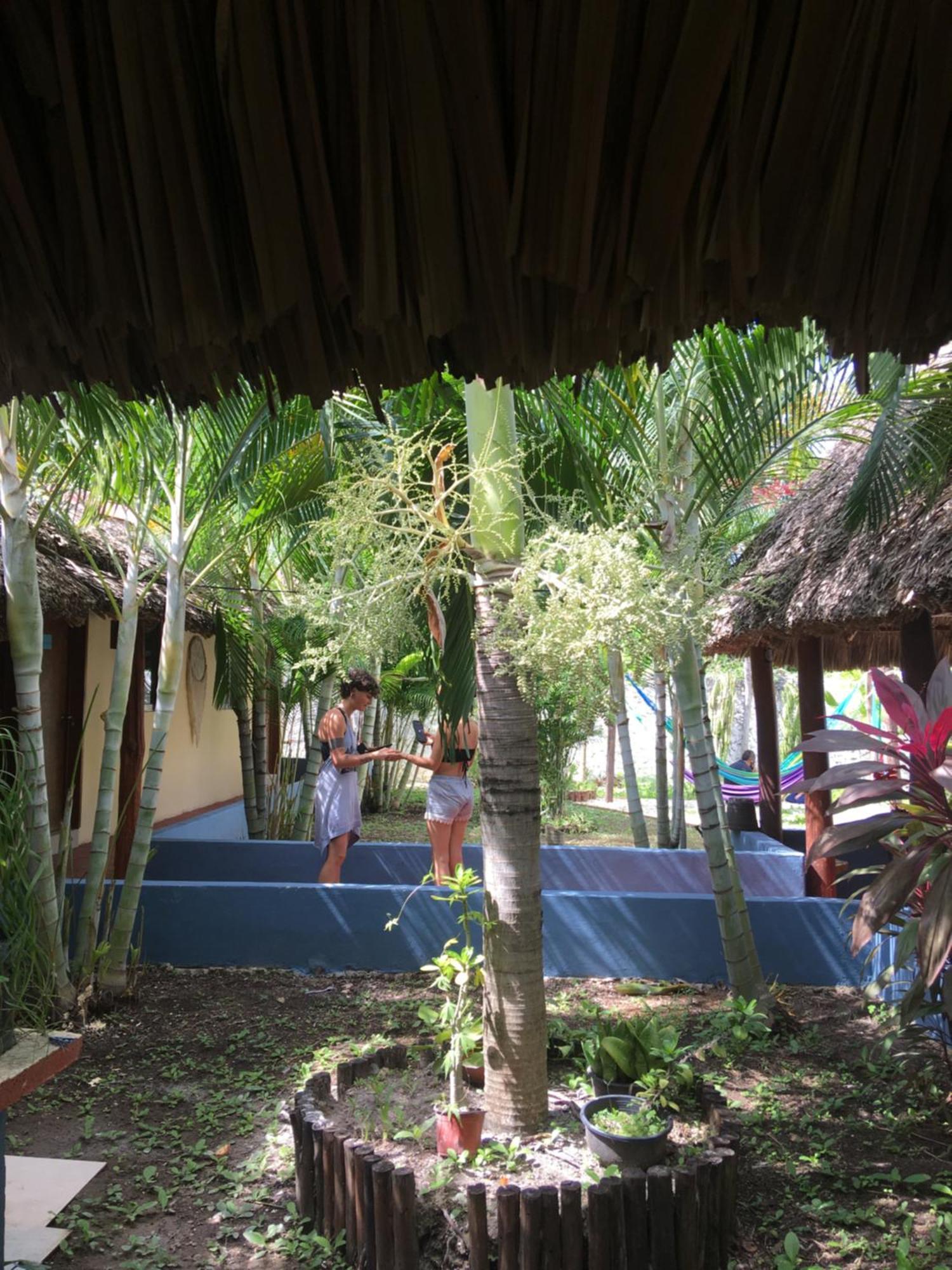 Casa Bokoba Bacalar Hotel Luaran gambar